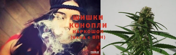 твердый Абаза