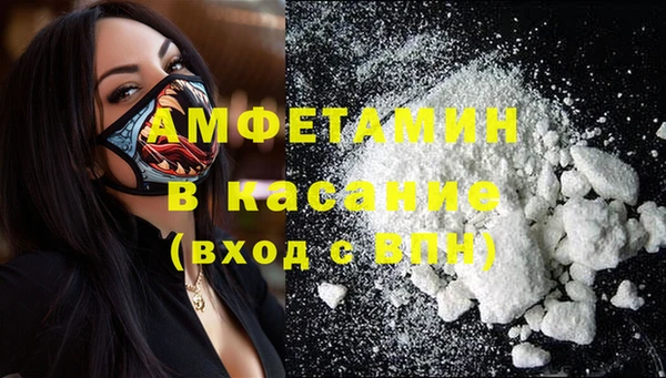 твердый Абаза